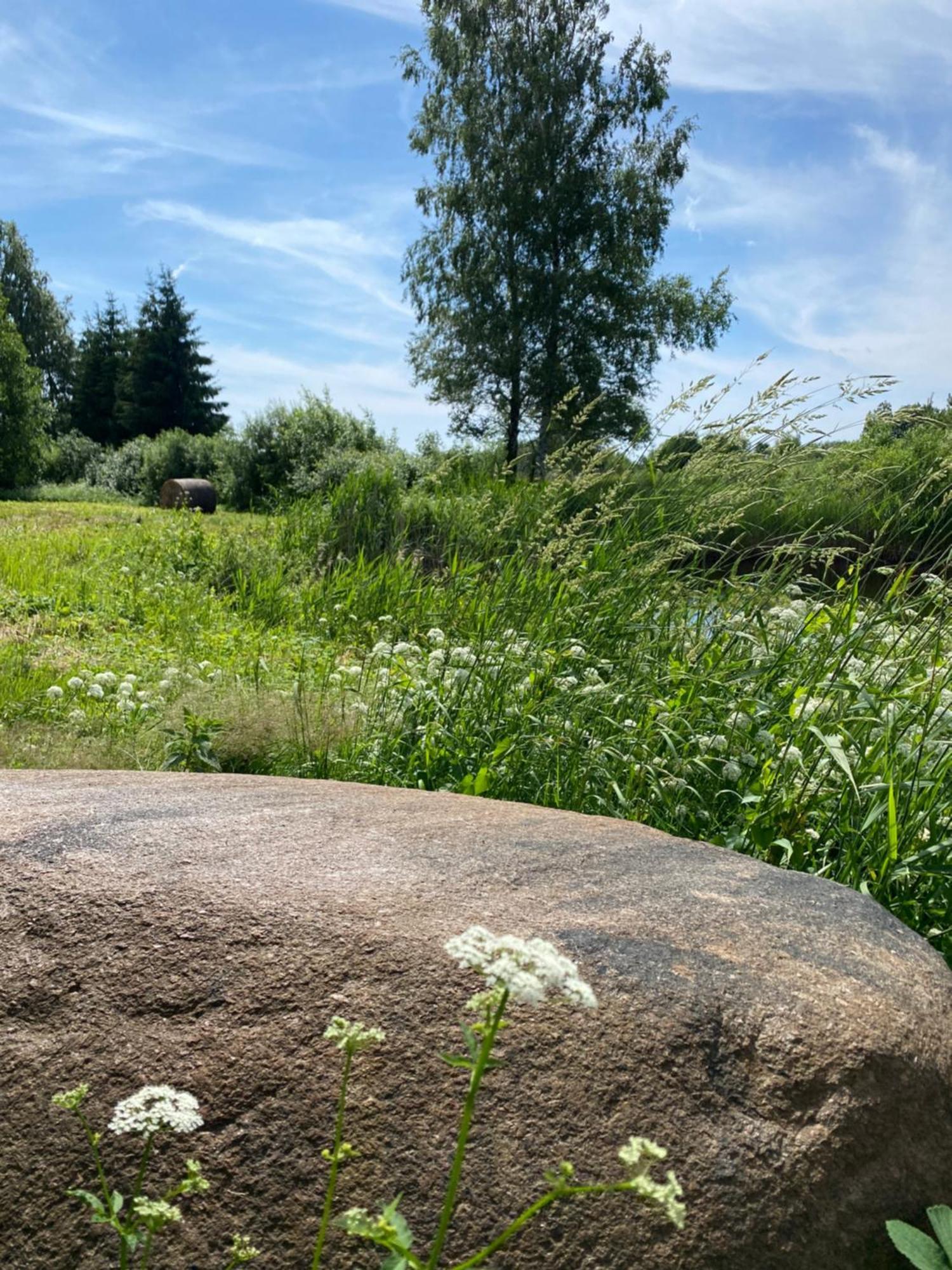 Suurkivi Nature Escape Häädemeeste Zewnętrze zdjęcie