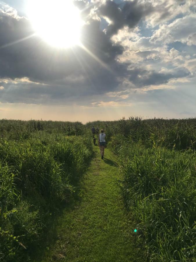 Suurkivi Nature Escape Häädemeeste Zewnętrze zdjęcie